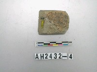 藏品(中型磨製石錛)的圖片